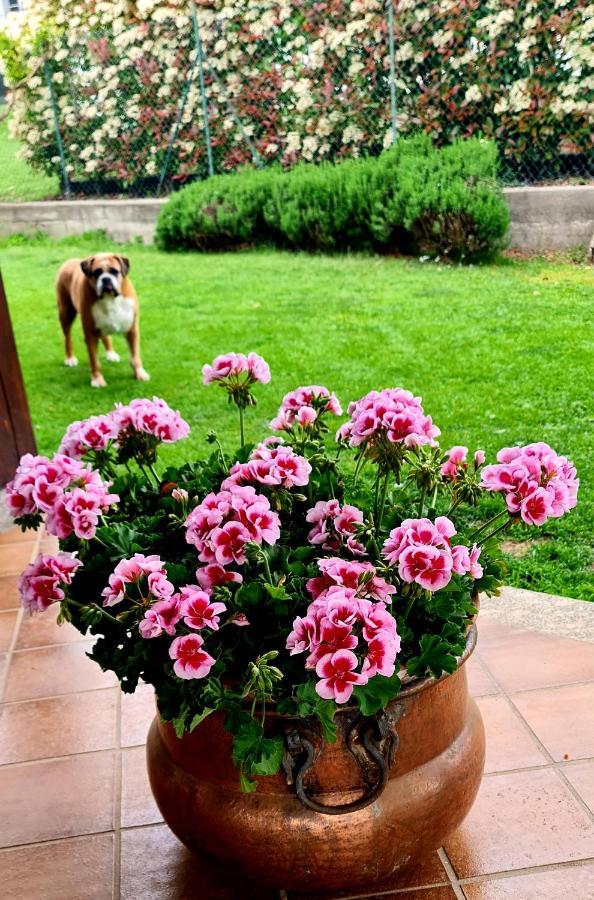 B&B Margot Albavilla ภายนอก รูปภาพ